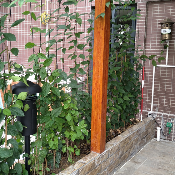 ������԰��װ����