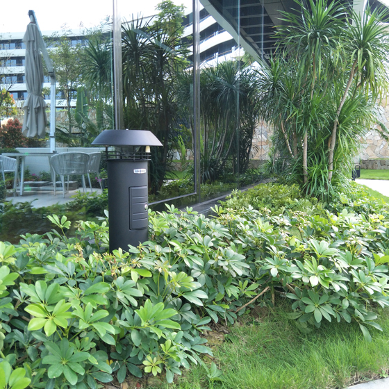 �Ƶ�ȼٴ����ó�������