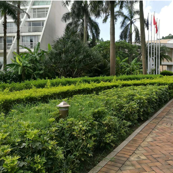 �������õư�װ���̣�����