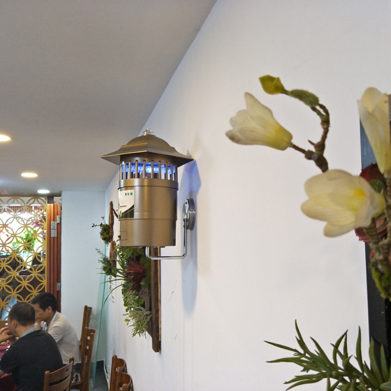 �ڹ�ʽ���õư�װ����