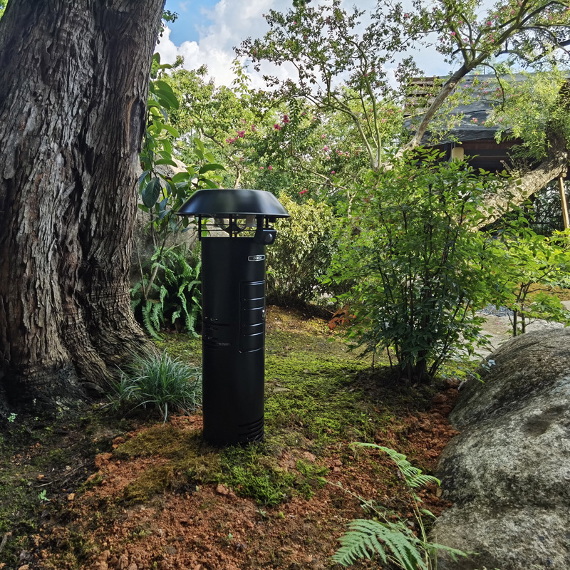 ˳��-԰��ʽ������������̬����